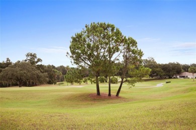 GREAT SNOWBIRD home OR simply a LOW maintenance home!  Come see on Eagle Ridge At Spruce Creek Country Club in Florida - for sale on GolfHomes.com, golf home, golf lot