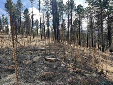 Spectacular views and peaceful setting tucked away near the end on Pendaries Village Community Assoc. in New Mexico - for sale on GolfHomes.com, golf home, golf lot