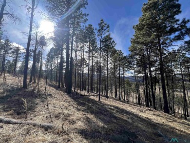 Spectacular views and peaceful setting tucked away near the end on Pendaries Village Community Assoc. in New Mexico - for sale on GolfHomes.com, golf home, golf lot