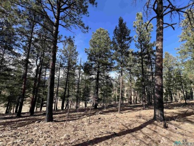 Spectacular views and peaceful setting tucked away near the end on Pendaries Village Community Assoc. in New Mexico - for sale on GolfHomes.com, golf home, golf lot