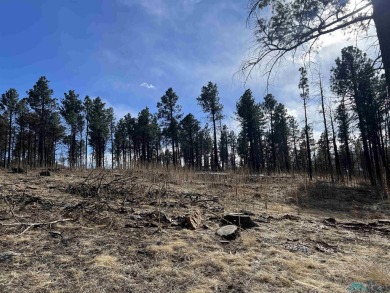 Spectacular views and peaceful setting tucked away near the end on Pendaries Village Community Assoc. in New Mexico - for sale on GolfHomes.com, golf home, golf lot