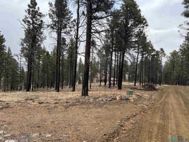 Spectacular views and peaceful setting tucked away near the end on Pendaries Village Community Assoc. in New Mexico - for sale on GolfHomes.com, golf home, golf lot