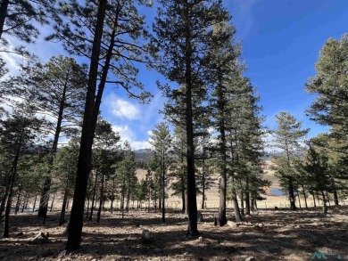 Spectacular views and peaceful setting tucked away near the end on Pendaries Village Community Assoc. in New Mexico - for sale on GolfHomes.com, golf home, golf lot