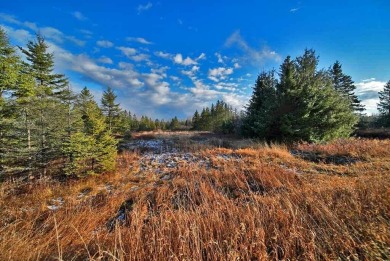 Land, Maine, You. Looking For That Kind Of Simple Situation? You on Houlton Community Golf Club in Maine - for sale on GolfHomes.com, golf home, golf lot