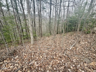A beautiful 1.28-acre lot offering mountain views at the end of on Bent Creek Golf Course in Tennessee - for sale on GolfHomes.com, golf home, golf lot