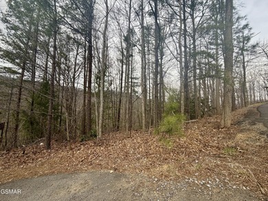 A beautiful 1.28-acre lot offering mountain views at the end of on Bent Creek Golf Course in Tennessee - for sale on GolfHomes.com, golf home, golf lot
