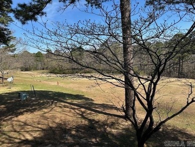 This two-bedroom, two-bathroom condominium, partially furnished on Indian Hills Country Club in Arkansas - for sale on GolfHomes.com, golf home, golf lot