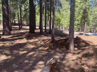 This deep, level lot located in Lake Almanor West is ready for on Lake Almanor West Golf Course in California - for sale on GolfHomes.com, golf home, golf lot