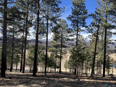 Spectacular views and peaceful setting tucked away near the end on Pendaries Village Community Assoc. in New Mexico - for sale on GolfHomes.com, golf home, golf lot