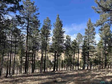 Spectacular views and peaceful setting tucked away near the end on Pendaries Village Community Assoc. in New Mexico - for sale on GolfHomes.com, golf home, golf lot