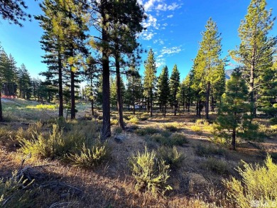 Desirable Clear Creek parcel, located in a quiet section of the on Clear Creek Tahoe in Nevada - for sale on GolfHomes.com, golf home, golf lot