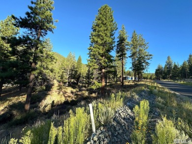 Desirable Clear Creek parcel, located in a quiet section of the on Clear Creek Tahoe in Nevada - for sale on GolfHomes.com, golf home, golf lot