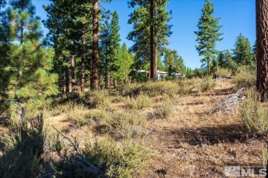 Desirable Clear Creek parcel, located in a quiet section of the on Clear Creek Tahoe in Nevada - for sale on GolfHomes.com, golf home, golf lot