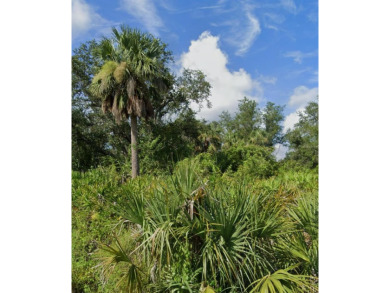 Build your dream home in Harbour Heights, a quiet Punta Gorda on Deep Creek Golf Club in Florida - for sale on GolfHomes.com, golf home, golf lot