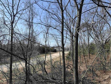 This .69 acre lot is located just off Blackhawk. Near the on Eagle Ridge Inn and Resort in Illinois - for sale on GolfHomes.com, golf home, golf lot