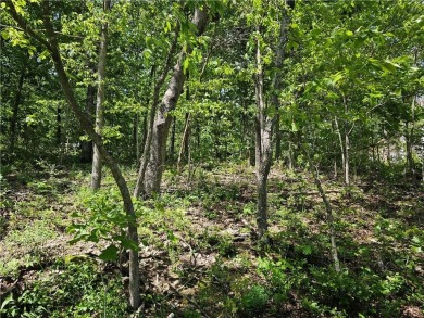 This excellent lot has minimal sloping in the back, most of the on Bella Vista Country Club and Golf Course in Arkansas - for sale on GolfHomes.com, golf home, golf lot