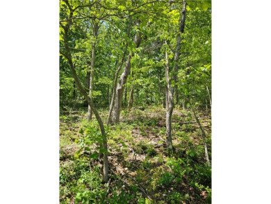 This excellent lot has minimal sloping in the back, most of the on Bella Vista Country Club and Golf Course in Arkansas - for sale on GolfHomes.com, golf home, golf lot