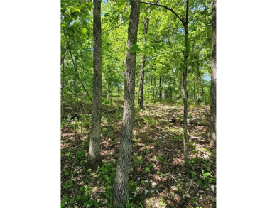 This excellent lot has minimal sloping in the back, most of the on Bella Vista Country Club and Golf Course in Arkansas - for sale on GolfHomes.com, golf home, golf lot