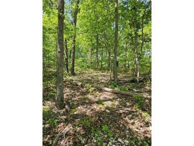 This excellent lot has minimal sloping in the back, most of the on Bella Vista Country Club and Golf Course in Arkansas - for sale on GolfHomes.com, golf home, golf lot