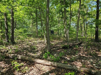 This excellent lot has minimal sloping in the back, most of the on Bella Vista Country Club and Golf Course in Arkansas - for sale on GolfHomes.com, golf home, golf lot