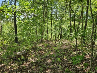 This excellent lot has minimal sloping in the back, most of the on Bella Vista Country Club and Golf Course in Arkansas - for sale on GolfHomes.com, golf home, golf lot