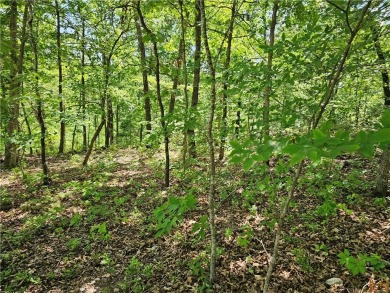 This excellent lot has minimal sloping in the back, most of the on Bella Vista Country Club and Golf Course in Arkansas - for sale on GolfHomes.com, golf home, golf lot