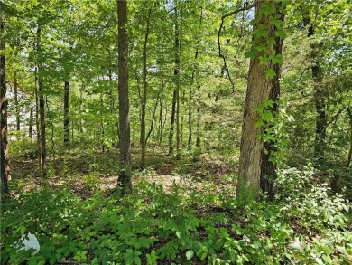 This excellent lot has minimal sloping in the back, most of the on Bella Vista Country Club and Golf Course in Arkansas - for sale on GolfHomes.com, golf home, golf lot