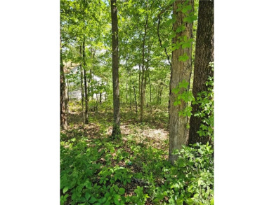 This excellent lot has minimal sloping in the back, most of the on Bella Vista Country Club and Golf Course in Arkansas - for sale on GolfHomes.com, golf home, golf lot