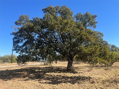 Discover an exceptional opportunity to build your dream home on on Hideout Golf Club and Resort  in Texas - for sale on GolfHomes.com, golf home, golf lot