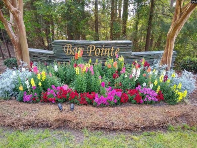 Welcome Home to 125 Bay Pointe Drive. Enjoy serene lake living on Timberlake Country Club in South Carolina - for sale on GolfHomes.com, golf home, golf lot
