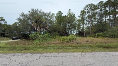 Make an Offer today! Great corner lot .25 ACRES This is the one! on Lehigh Resort Club in Florida - for sale on GolfHomes.com, golf home, golf lot