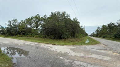 Make an Offer today! Great corner lot .25 ACRES This is the one! on Lehigh Resort Club in Florida - for sale on GolfHomes.com, golf home, golf lot