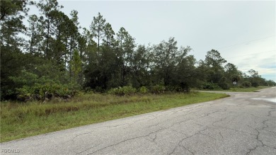 Make an Offer today! Great corner lot .25 ACRES This is the one! on Lehigh Resort Club in Florida - for sale on GolfHomes.com, golf home, golf lot