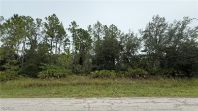 Make an Offer today! Great corner lot .25 ACRES This is the one! on Lehigh Resort Club in Florida - for sale on GolfHomes.com, golf home, golf lot