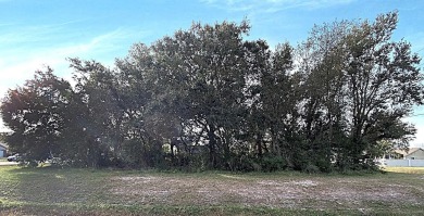 Available for sale .29 acres located in the Wedgefield community on Wedgefield Golf Club in Florida - for sale on GolfHomes.com, golf home, golf lot