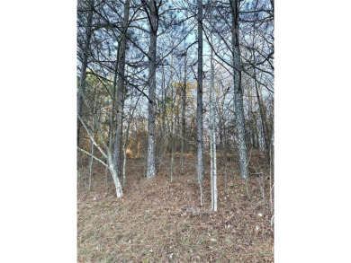 Build your dream home on this .53 acre vacant wooded lot with on Meadow Lakes Golf Course in Georgia - for sale on GolfHomes.com, golf home, golf lot