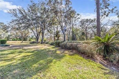 A ONCE IN A LIFETIME OPPORTUNITY TO PURCHASE A GORGEOUS ONE on Black Diamond Ranch Golf Course in Florida - for sale on GolfHomes.com, golf home, golf lot