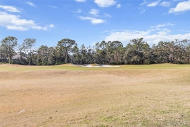 A ONCE IN A LIFETIME OPPORTUNITY TO PURCHASE A GORGEOUS ONE on Black Diamond Ranch Golf Course in Florida - for sale on GolfHomes.com, golf home, golf lot