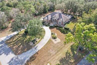 A ONCE IN A LIFETIME OPPORTUNITY TO PURCHASE A GORGEOUS ONE on Black Diamond Ranch Golf Course in Florida - for sale on GolfHomes.com, golf home, golf lot