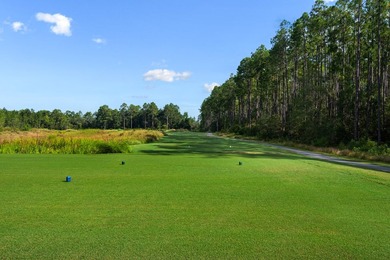 Welcome to refined living in this beautifully designed on Windswept Dunes Golf Club in Florida - for sale on GolfHomes.com, golf home, golf lot