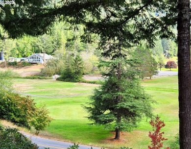 Motivated seller-HUGE price reduction! With amazing views of the on Cedar Bend Golf Course in Oregon - for sale on GolfHomes.com, golf home, golf lot