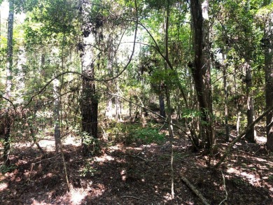 This is a nice buildable lot with beautiful shade trees on a on Rayburn Country Club in Texas - for sale on GolfHomes.com, golf home, golf lot