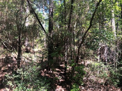 This is a nice buildable lot with beautiful shade trees on a on Rayburn Country Club in Texas - for sale on GolfHomes.com, golf home, golf lot