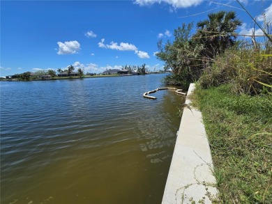 Nice and Cleared GULF ACCESS LOT with a NEW SEAWALL in place on Burnt Store Golf Club in Florida - for sale on GolfHomes.com, golf home, golf lot