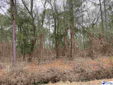 This large & private, wooded one acre lot is located in the on Governors Run Golf Club in South Carolina - for sale on GolfHomes.com, golf home, golf lot