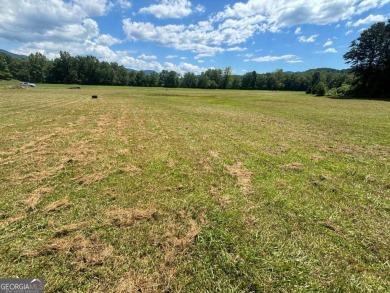 Gentle laying 3.4 acres in Young Harrs with Year-Round Mountain on Brasstown Valley Resort and Spa in Georgia - for sale on GolfHomes.com, golf home, golf lot