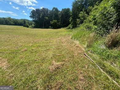 Gentle laying 3.4 acres in Young Harrs with Year-Round Mountain on Brasstown Valley Resort and Spa in Georgia - for sale on GolfHomes.com, golf home, golf lot