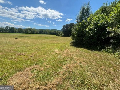 Gentle laying 3.4 acres in Young Harrs with Year-Round Mountain on Brasstown Valley Resort and Spa in Georgia - for sale on GolfHomes.com, golf home, golf lot