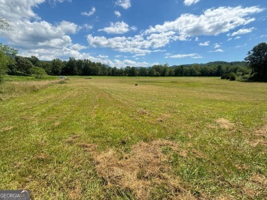 Gentle laying 3.4 acres in Young Harrs with Year-Round Mountain on Brasstown Valley Resort and Spa in Georgia - for sale on GolfHomes.com, golf home, golf lot