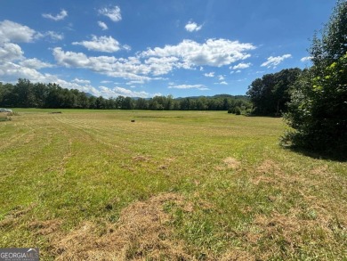 Gentle laying 3.4 acres in Young Harrs with Year-Round Mountain on Brasstown Valley Resort and Spa in Georgia - for sale on GolfHomes.com, golf home, golf lot